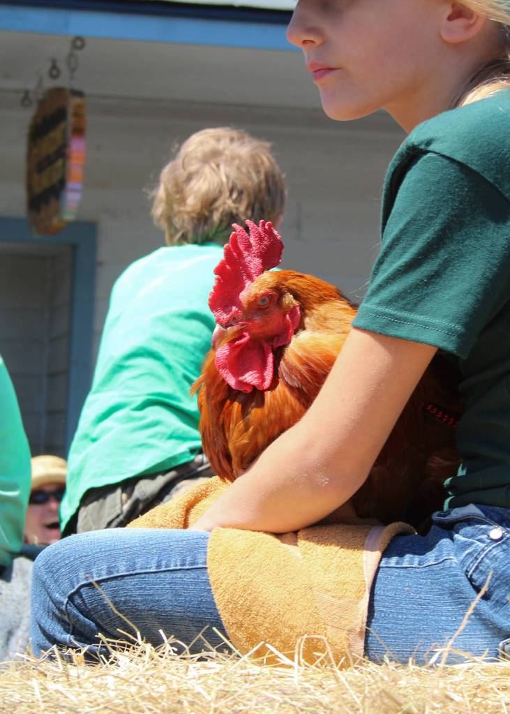 Chamber’s annual Community Parade | Photos