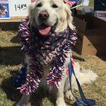 Hudson named mayor in record-breaking ‘election’