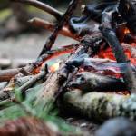 High fire danger leads to campfire restrictions in Northwest Washington