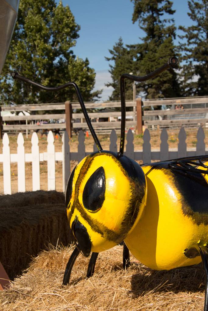 San Juan County Fair 2017 | Photos