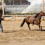 San Juan County Fair 2017 | Photos
