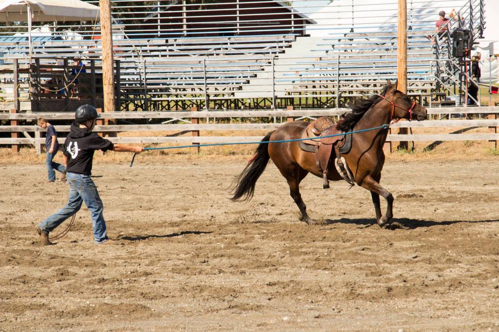 San Juan County Fair 2017 | Photos