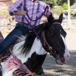 San Juan County Fair 2017 | Photos