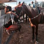 San Juan County Fair 2017 | Photos