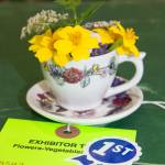 San Juan County Fair 2017 | Photos