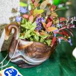 San Juan County Fair 2017 | Photos