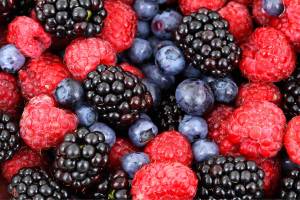 Orcas Island Garden Club meeting focuses on berries