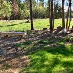 New Orcas Off-Leash Area Opening on Friday, Sept. 15