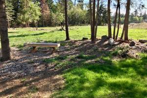 New Orcas Off-Leash Area Opening on Friday, Sept. 15