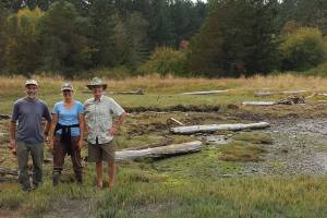Partners restore Fisherman Bay coastal wetland
