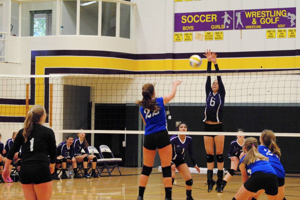 OI Vikings fall sports update