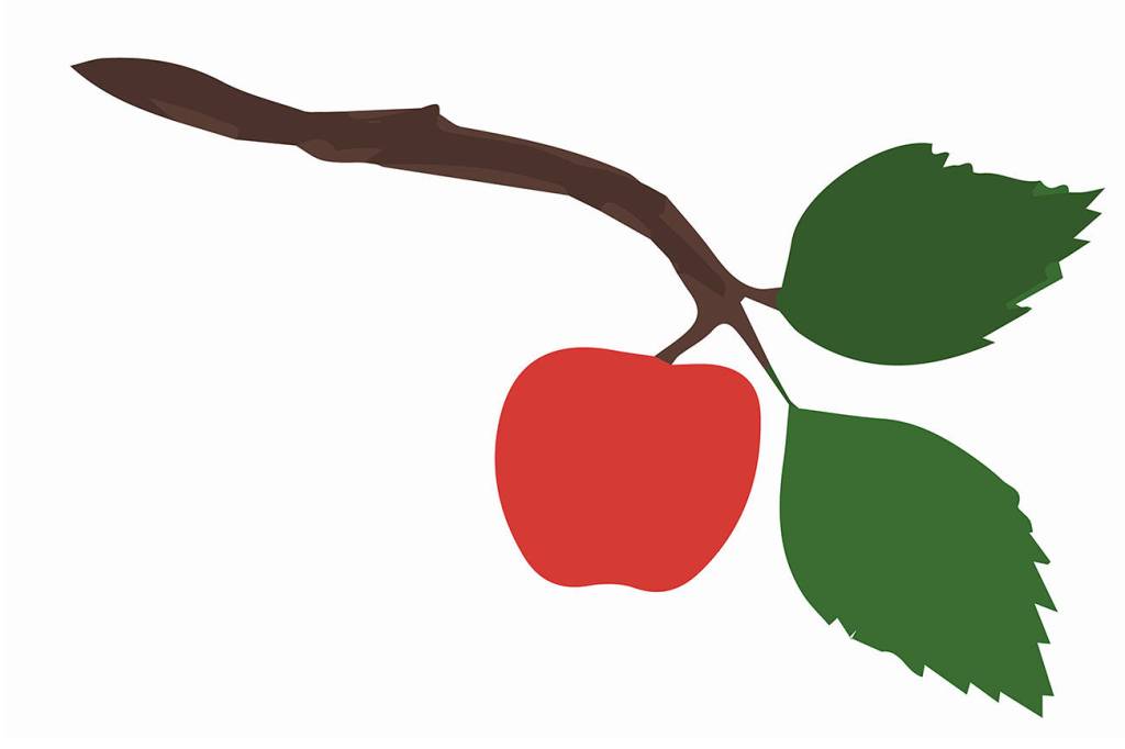 San Juan County and Orcas Montessori School awarded community development block grant