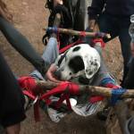 OIFR rescues hiker and her missing dog from cliff in Moran State Park