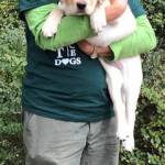 Future service dog candidate Maggie arrives on Orcas | More fosters needed