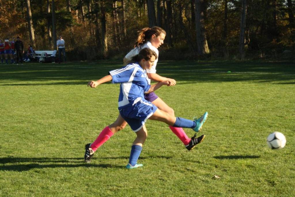 Boys soccer team wins division title; girls season concludes