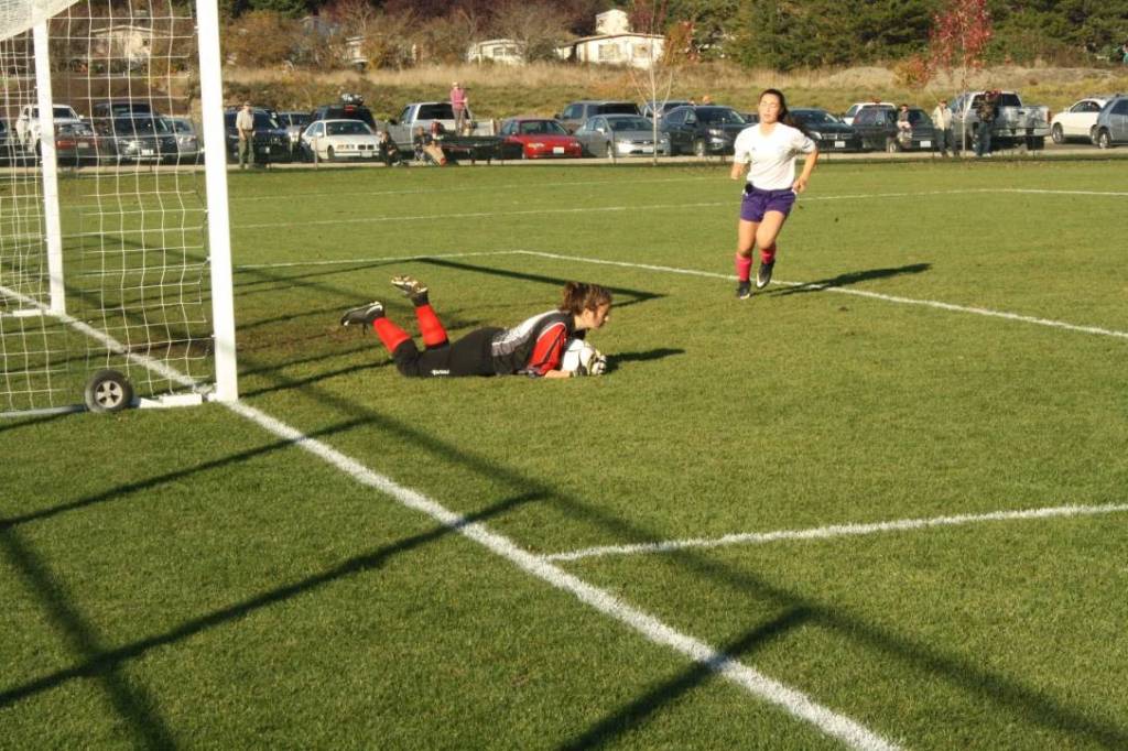 Boys soccer team wins division title; girls season concludes