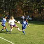 Boys soccer team wins division title; girls season concludes
