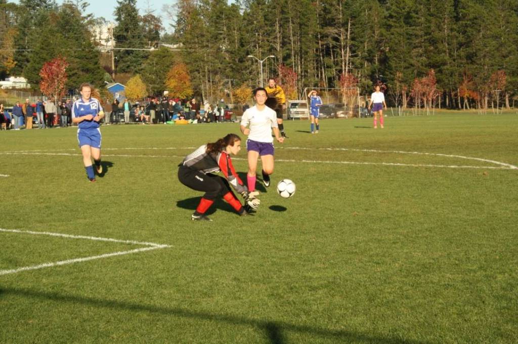 Boys soccer team wins division title; girls season concludes