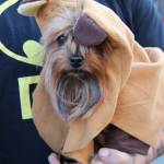 Halloween in Eatsound