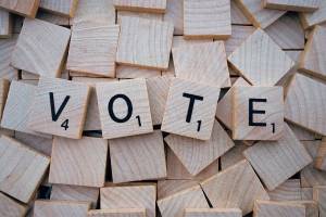 School bond and levy pass | SJC Election results