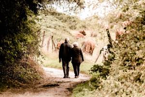 Task force formed to look at elder care options