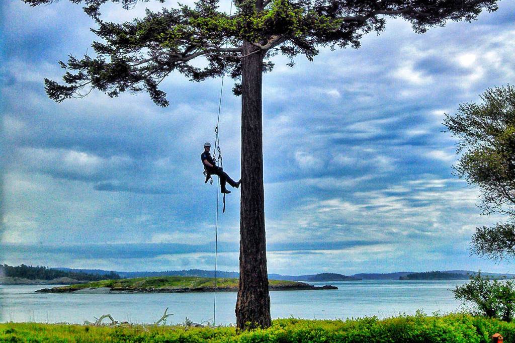 Free training for contractors working on shoreline properties in the San Juans