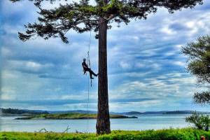 Free training for contractors working on shoreline properties in the San Juans