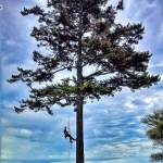 Free training for contractors working on shoreline properties in the San Juans