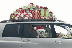 Choose wisely where to spend your money this season | Editorial