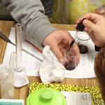 Students find Salal berries tasty, and good for you too