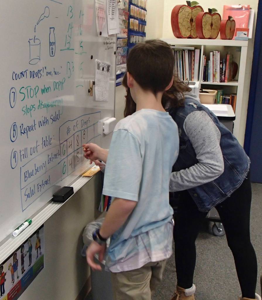 Students find Salal berries tasty, and good for you too
