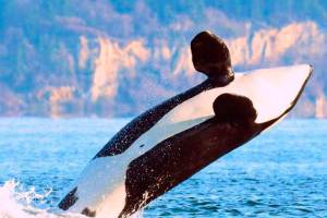 Top stories of 2017 | Part II