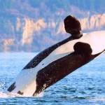 Top stories of 2017 | Part II