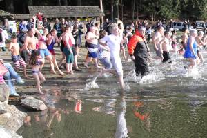 Polar plunge | Photos