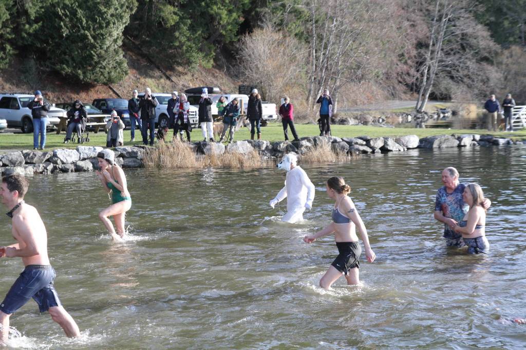 Polar plunge | Photos