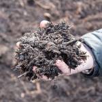 Recycle yard waste at ORS