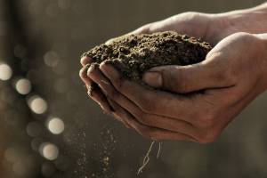 San Juan County’s 2018 Ag Summit coming soon