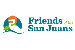 To protect orca and salmon, you need to protect beaches and forage fish | Guest column