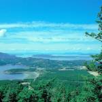Learn the Lummi vision for Madrona Point