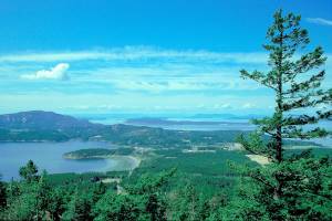 Learn the Lummi vision for Madrona Point