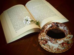 Friends of the Orcas Library to hold winter booksale