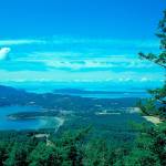 A Lummi vision for Madrona Point