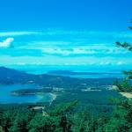 A Lummi vision for Madrona Point