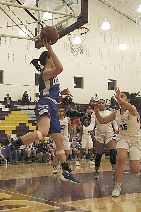 Viking power | Season in review