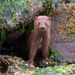 Protecting the environment one child at a time