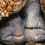 Protecting the environment one child at a time