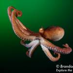 Protecting the environment one child at a time