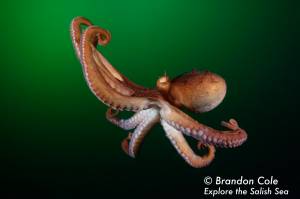 Protecting the environment one child at a time