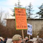 March for Our Lives in Eastsound | Photos