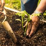 Orcas Island Garden Club welcomes Seattle garden designer Robin Haglund